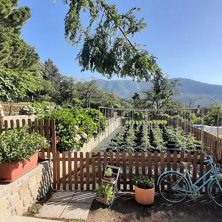 Ca' De Angiolina سانريمو
