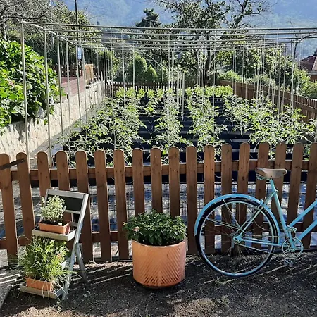 Farma Ca' De Angiolina